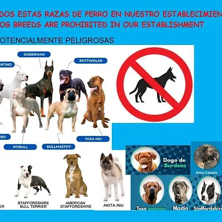 Residencial Salesas Apartment *