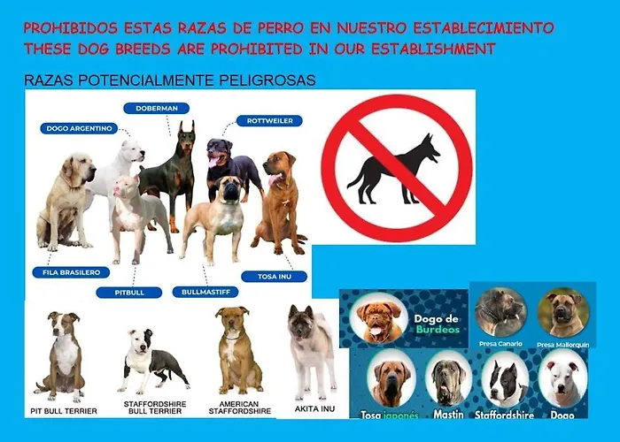 Residencial Salesas Appartamento *